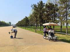 -汉长安城未央宫国家考古遗址公园