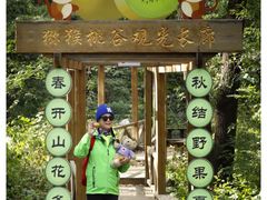 -大岭沟猕猴桃谷风景区