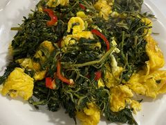 苜蓿炒蛋-煲来饱去冷水鱼