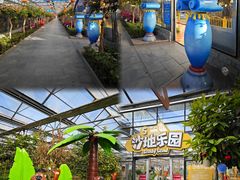 -南宫五洲植物乐园