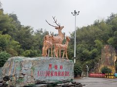-长沙黑麋峰国家森林公园
