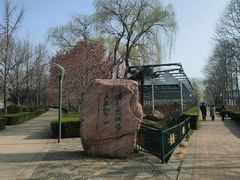 -洛阳市隋唐城遗址植物园
