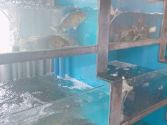 -品鲜村农家菜·阳澄湖大闸蟹(总店)
