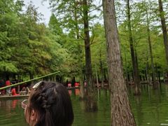 -泗洪洪泽湖湿地景区