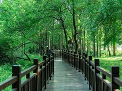 -东湖落雁景区
