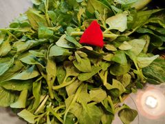 -慢丽江·云南野生菌土鸡锅(付家庄店)