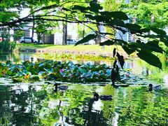 -北海道厅旧本厅舍(旧本庁舎)