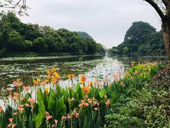 -星湖旅游景区七星岩