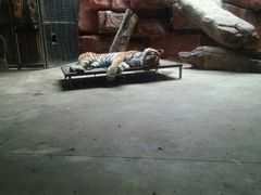 -鄂尔多斯野生动物园