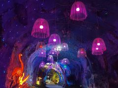 -栾川竹海野生动物园