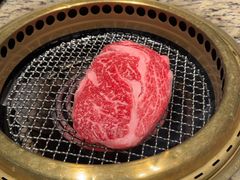 -老乾杯(深圳湾万象城店)