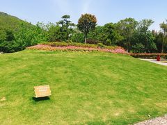 -乌石塘景区