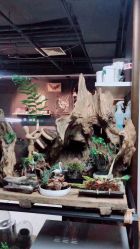 -周忆刺青原创设计定制