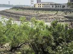 -吴淞炮台湾湿地森林公园烧烤区