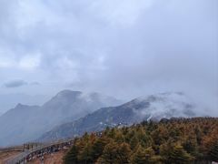 -白草畔自然风景区