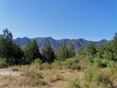 -白水寺森林公园