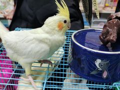 -三旗百汇商品城