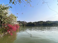 -惠州西湖