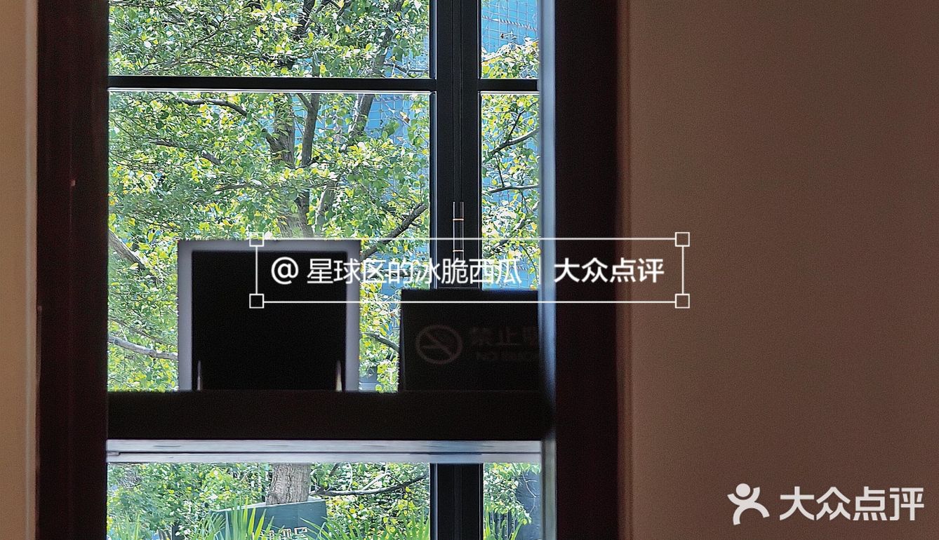 韶关武江区🪴咖啡馆惬意舒适角