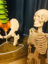 -FACE·日本小颜矫正美容整骨サロン