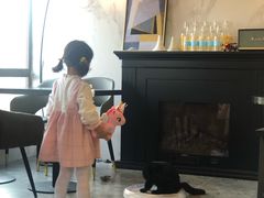 -房东的猫宠物生活馆