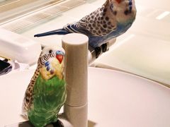 -潮一不贰·法式甜品·生日蛋糕·西式简餐(外滩店)