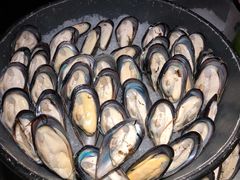 青口贝-星伦多自助料理(花山金鹰店)