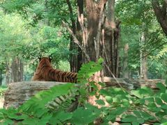 -秦皇岛野生动物园