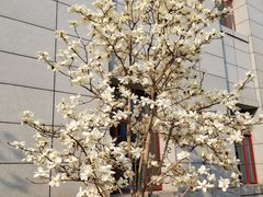 -中国中医科学院西苑医院(本部)