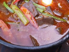 鸭血鸡杂煲-晶泽丽琅·鱼鲜川菜(川师店)
