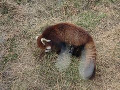 -济南野生动物世界