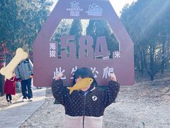 -抱犊崮国家森林公园