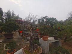 -万景茶庄·台州菜