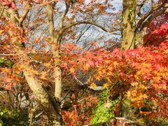-三千院
