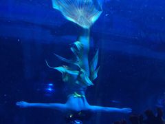 -成都浩海立方海洋公园