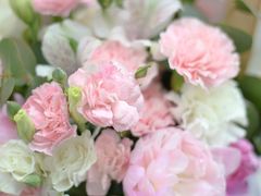 -花到家(富贵鸟花艺行)