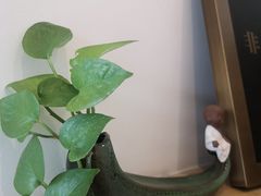 -不凡脑禅境·养生·舒压调理SPA(华发世纪城店)