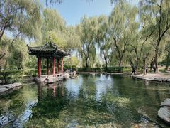 -百脉泉景区