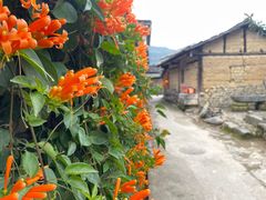 -云水谣景区