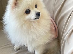 -怪兽屋·羊驼·猫咖·狗咖(俊华广场店)