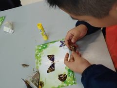 -上海昆虫博物馆