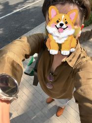 -大象造型
