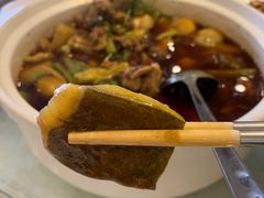 -高坎一品甲鱼庄(两河店)