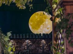 -1819餐厅·团队聚餐·烤串·精酿