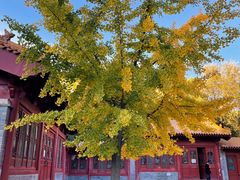 -元大都城垣遗址公园