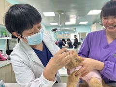 -北京观赏动物医院·24小时大型综合·猫专科·异宠专科