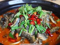 泥鳅煲-亿香院土菜馆(东岳街店)