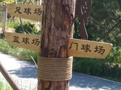 -回龙观体育文化公园