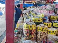 -大湾区中央湿地公园-十九涌