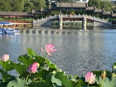 -西海子公园